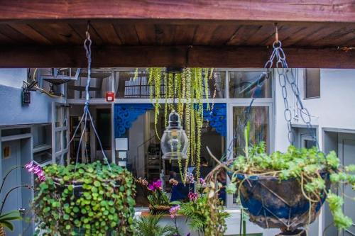 posada del maple hostel