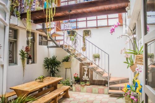 posada del maple hostel