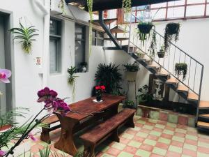 posada del maple hostel
