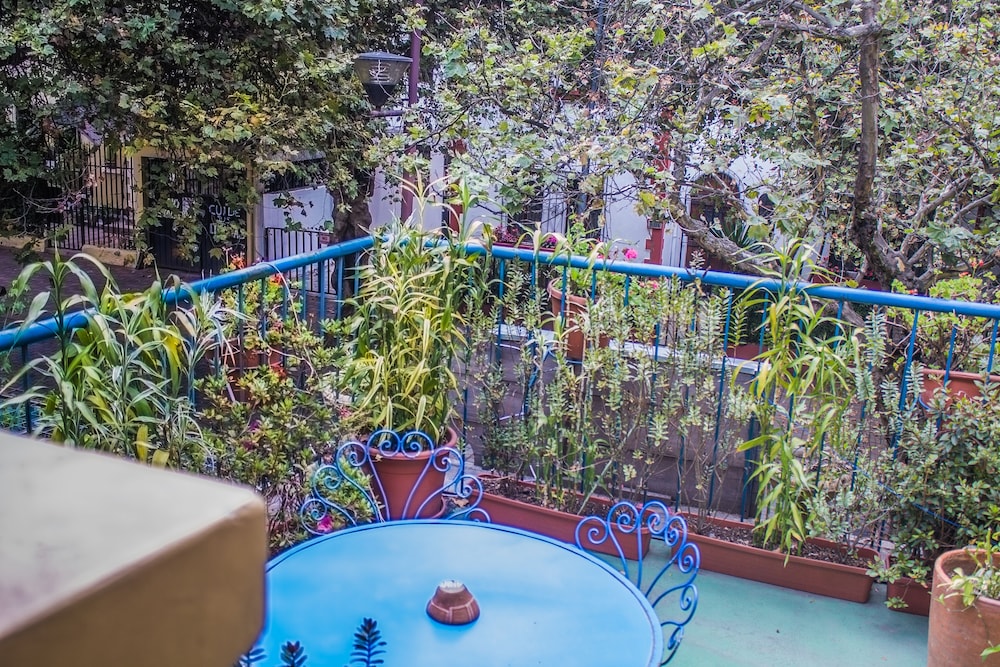 posada del maple hostel