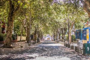 posada del maple hostel