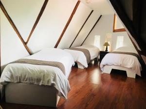 posada del maple hostel