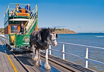 victor harbor holiday park
