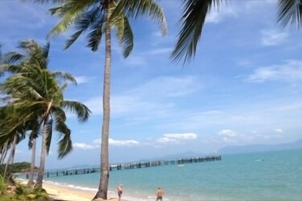 harrys bungalows and restaurant