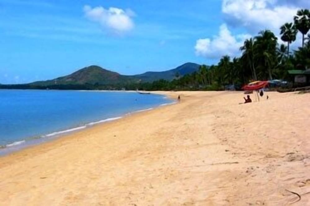 harrys bungalows and restaurant