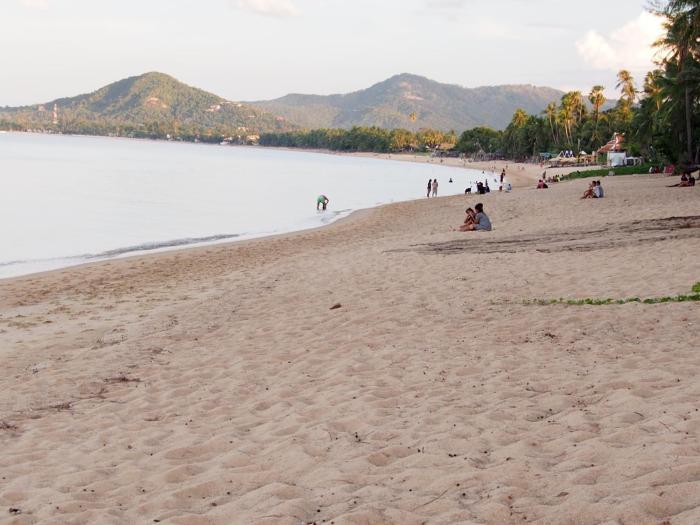 harrys bungalows and restaurant