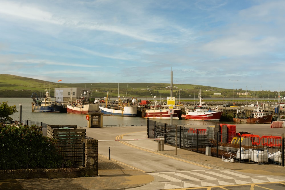 dingle