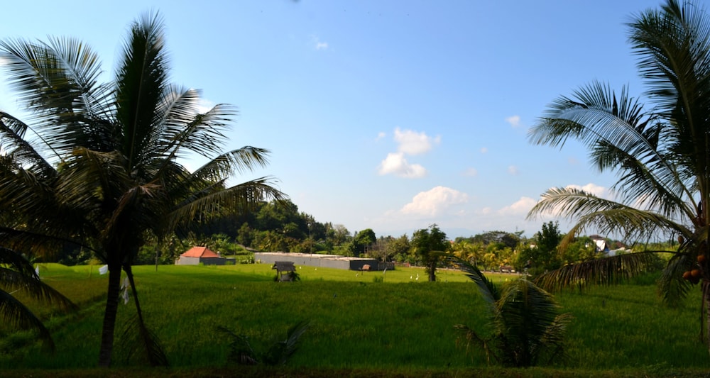 wahyu dewata