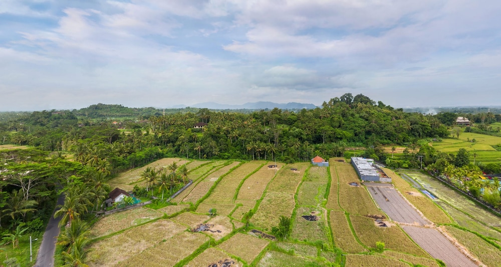 wahyu dewata