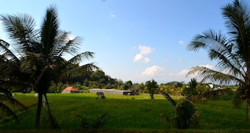 wahyu dewata