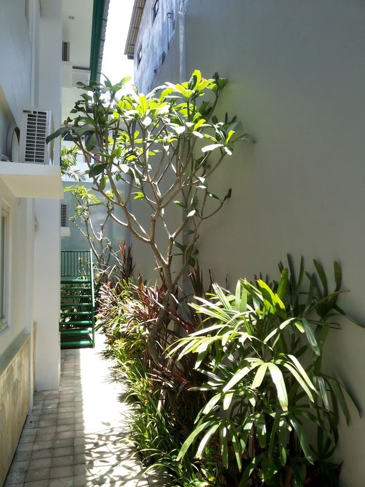 arain bed and breakfast by ecommerceloka