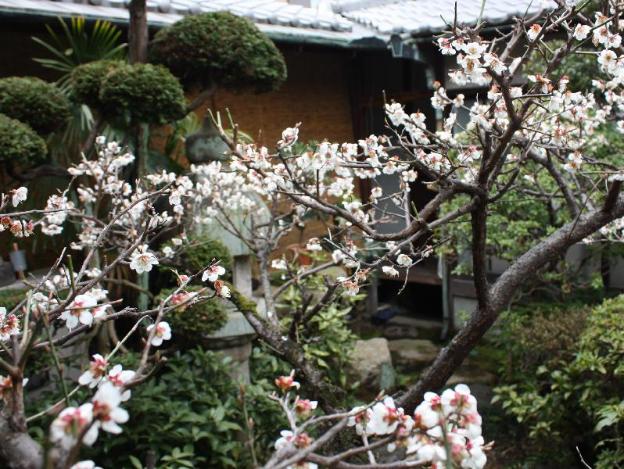 guesthouse naramachi