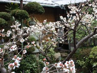 guesthouse naramachi