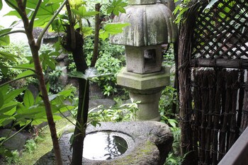 nara