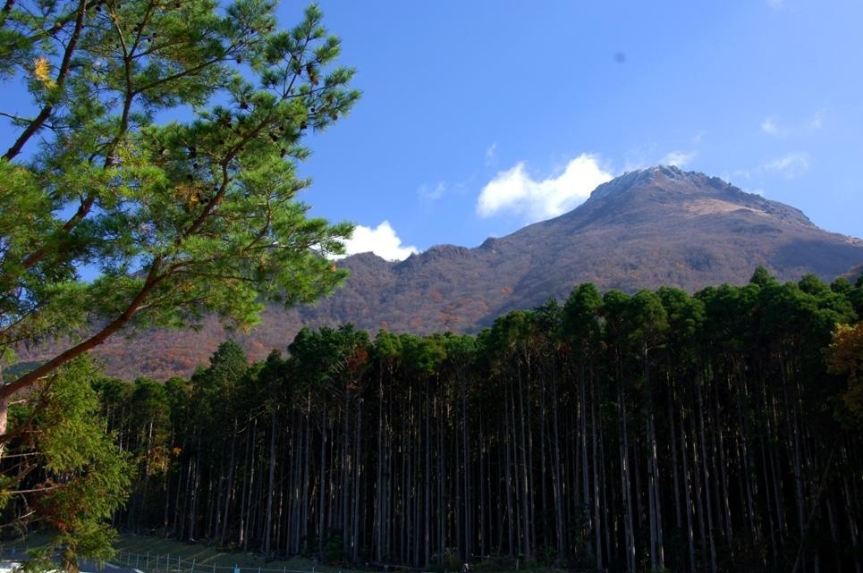 onjyuku yagura