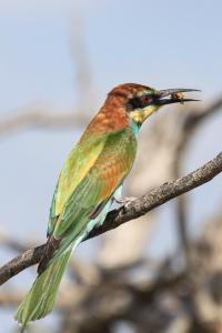 ku sungula safari lodge