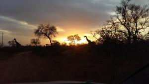 Ku Sungula Safari Lodge,In A National Park,4 star