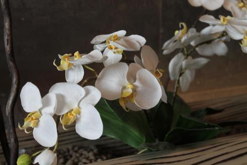 hotel residence aurora