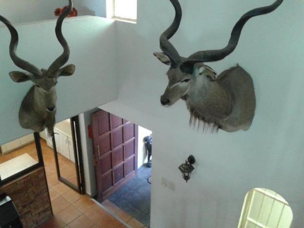 kalahari guest house