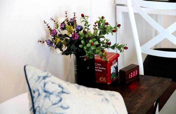 the meet green apartment