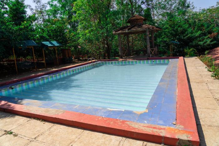 wild camp resort