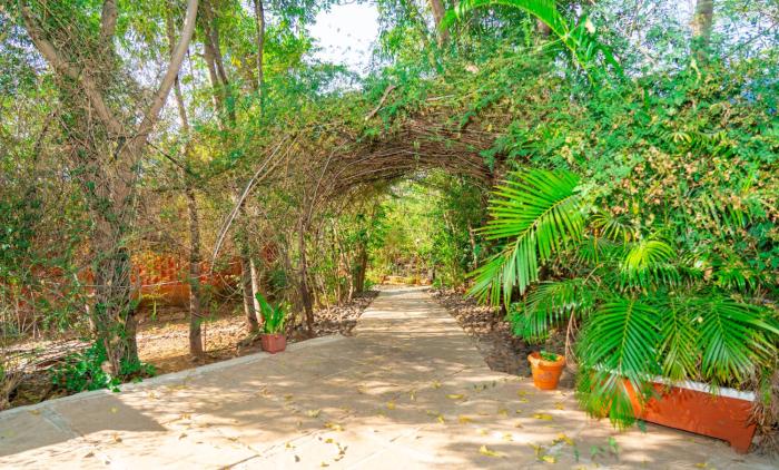 wild camp resort