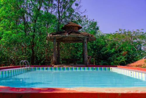 wild camp resort