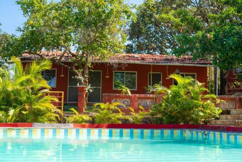 wild camp resort