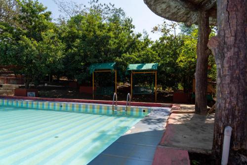 wild camp resort