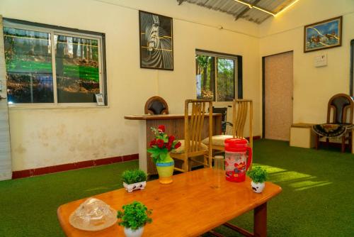 wild camp resort