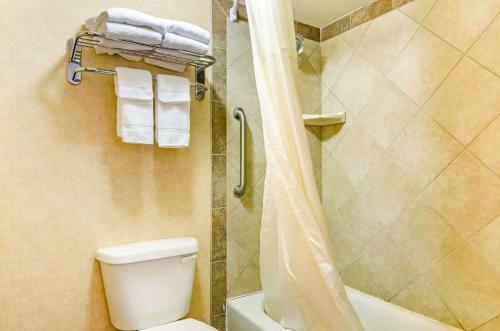 rodeway inn idaho falls