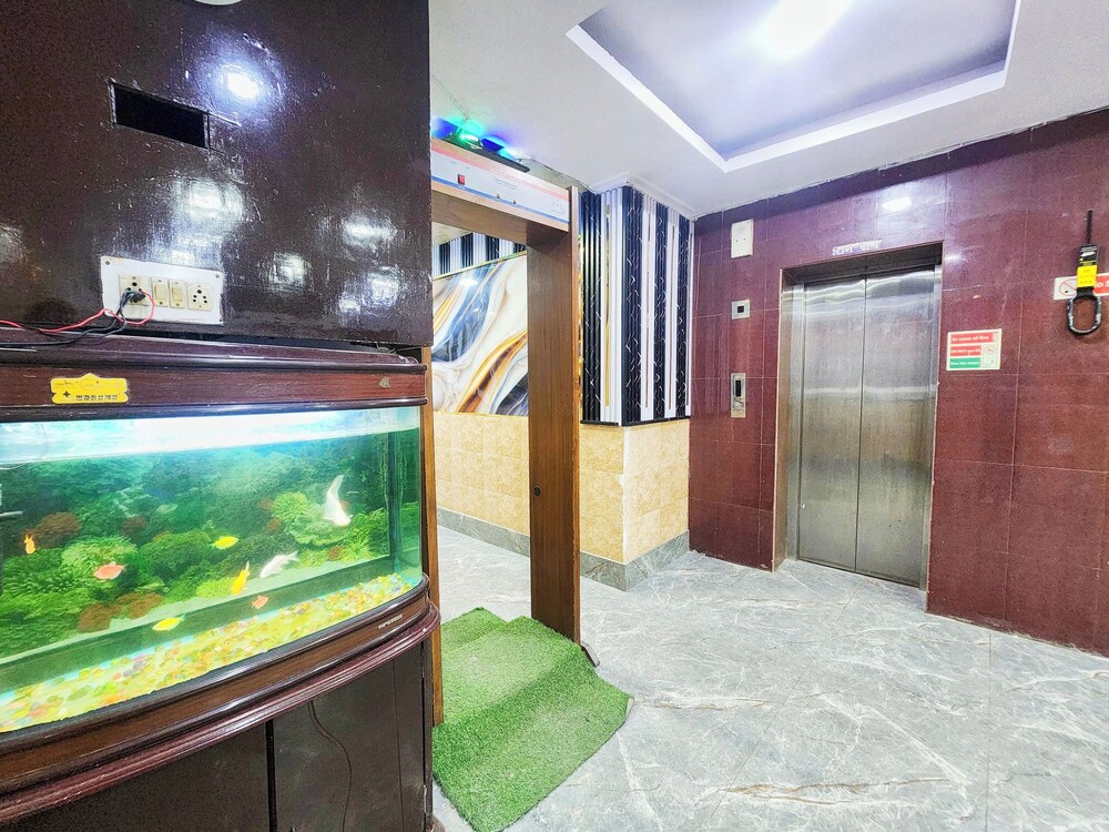 hotel star international