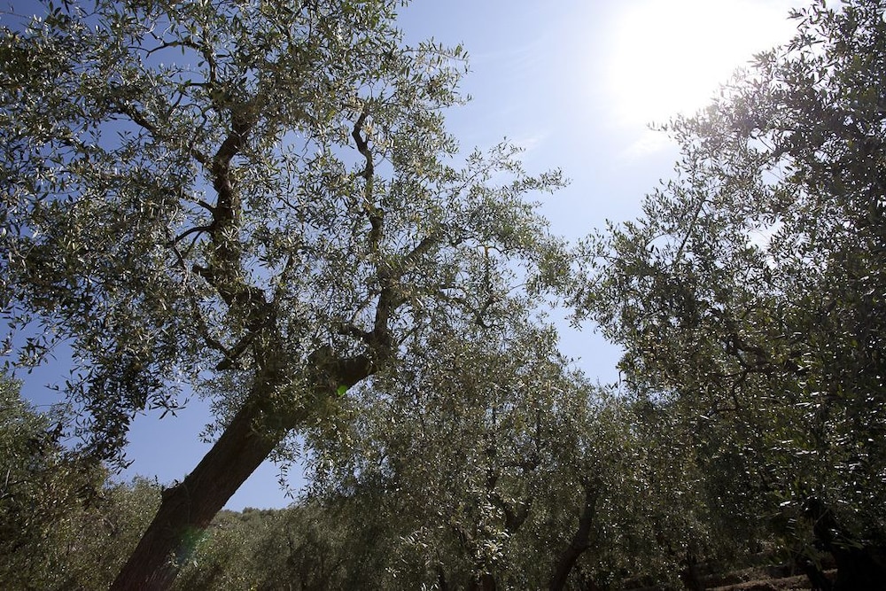 il mirto bed and breakfast