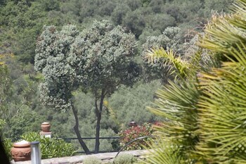 il mirto bed and breakfast