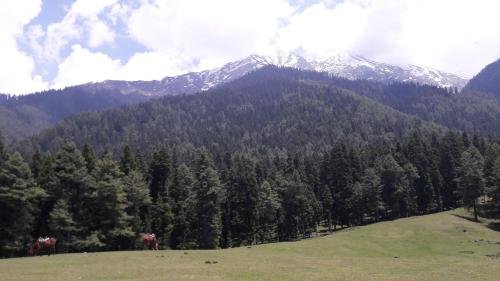 pahalgam