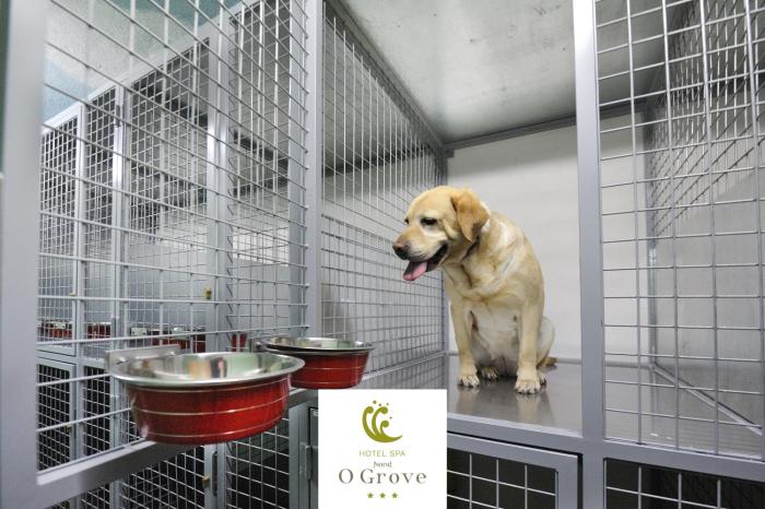 hotel spa norat o grove