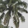 backwater breeze