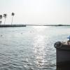 backwater breeze
