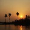 backwater breeze