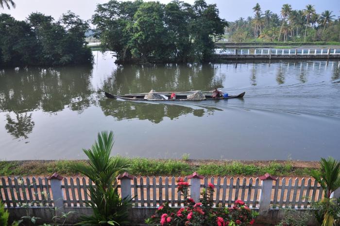 backwater breeze