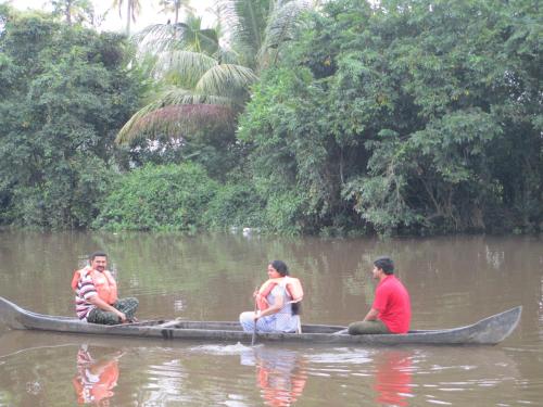 backwater breeze