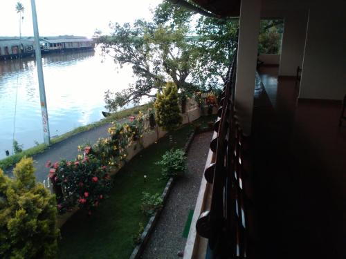 backwater breeze