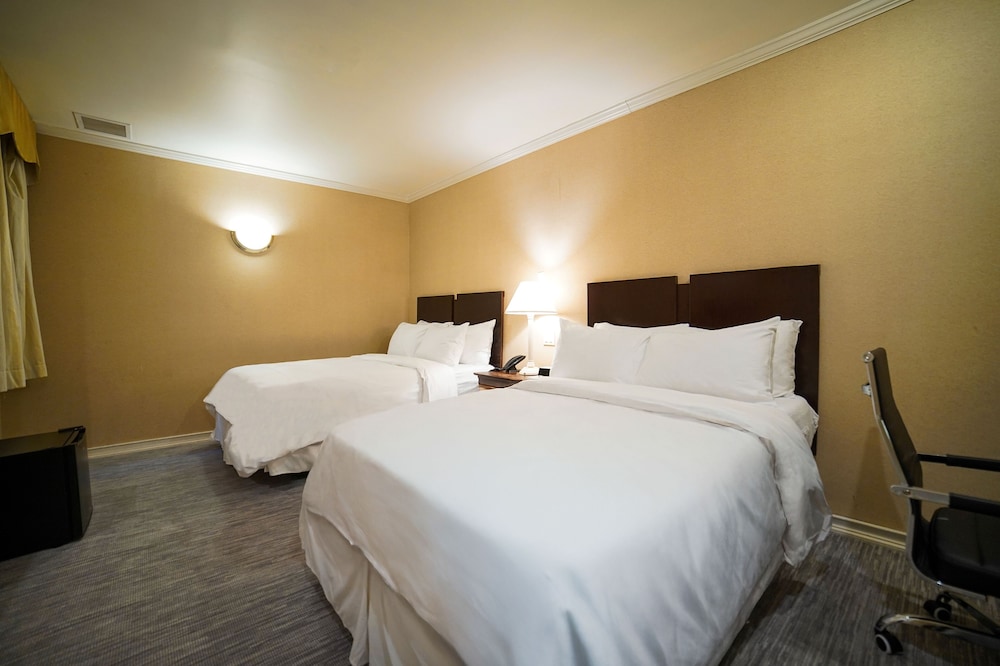 hotel stanford