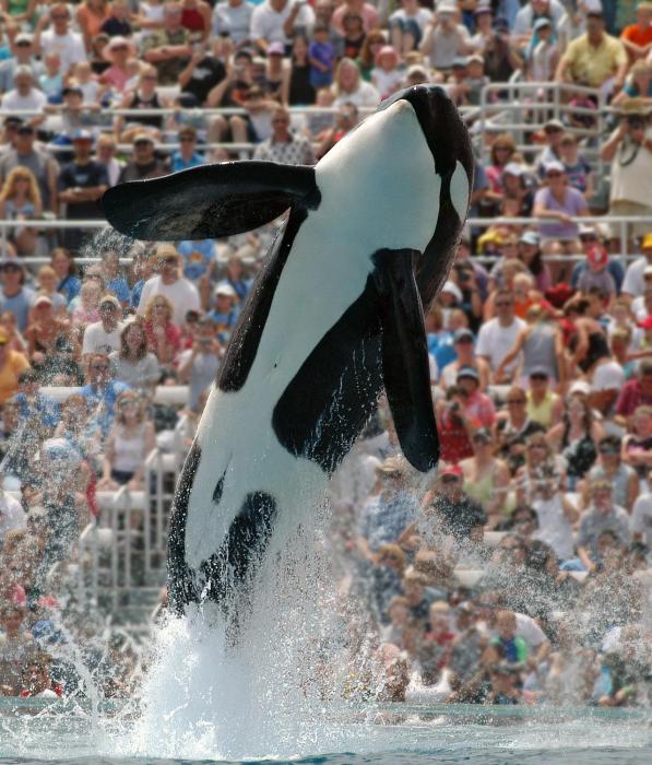 homewood suites by hilton san diego mission valley zoo