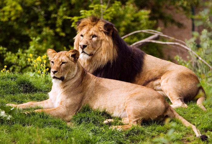 homewood suites by hilton san diego mission valley zoo