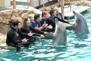 homewood suites by hilton san diego mission valley zoo