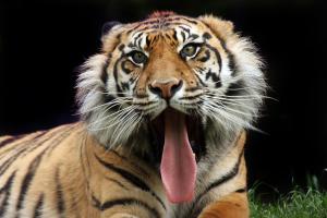 homewood suites by hilton san diego mission valley zoo