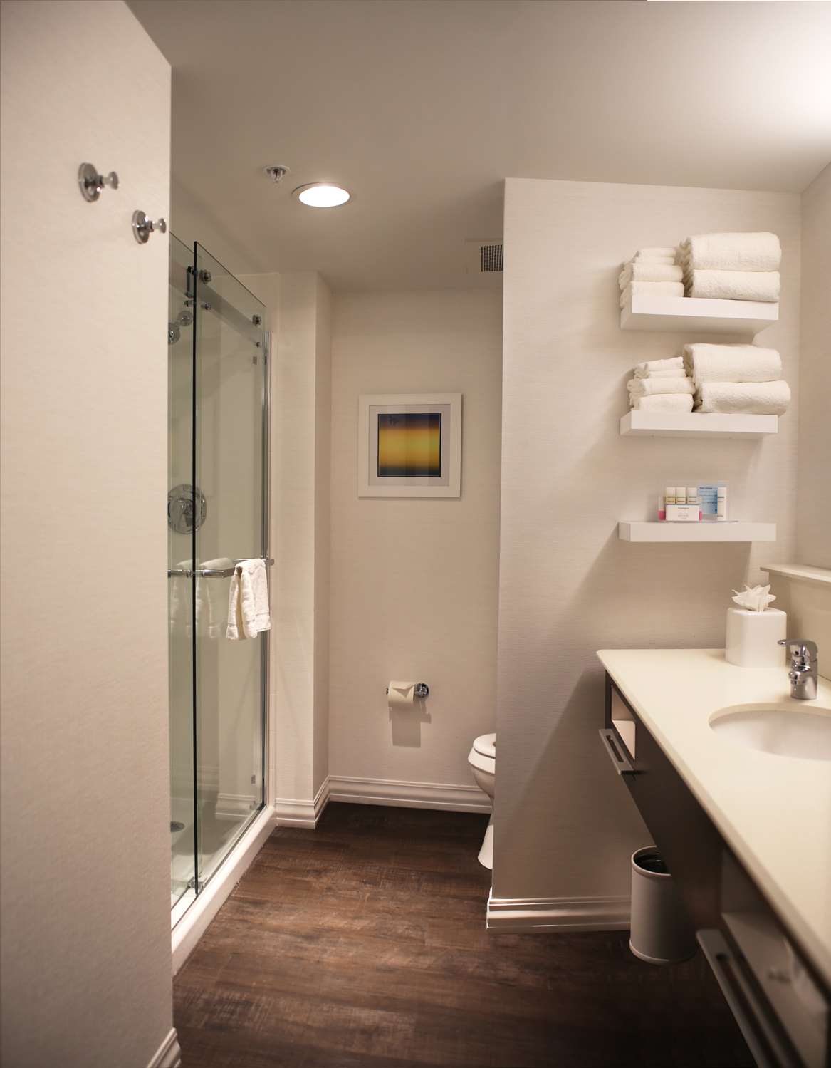 hampton inn lexington medical center