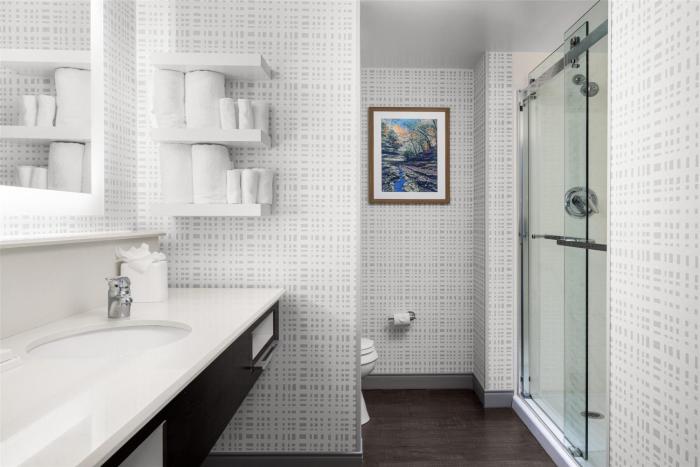 hampton inn lexington medical center