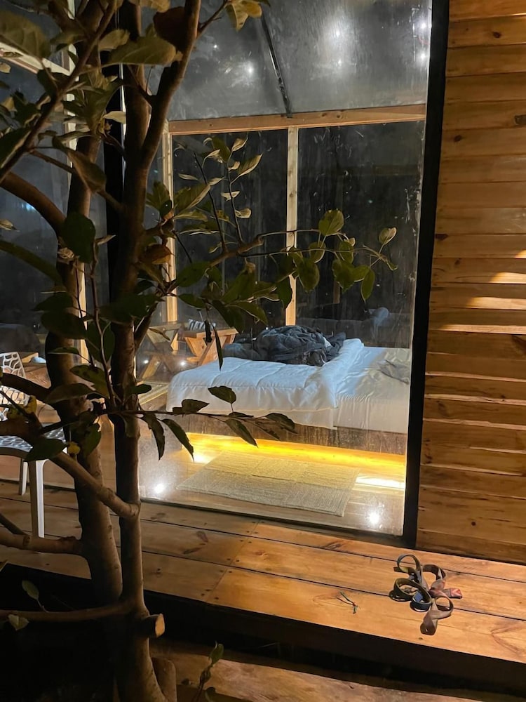 cove the glass house